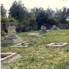 scansione0001.jpg