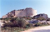scansione0002.jpg