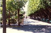 giardino_pub_no_dei_viali.jpg